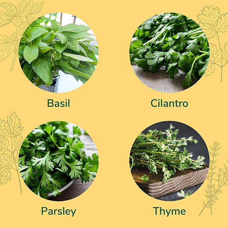 Smart indoor silicon micro natural dry rose herb garden growing starter kit USDA organic herb plant kit