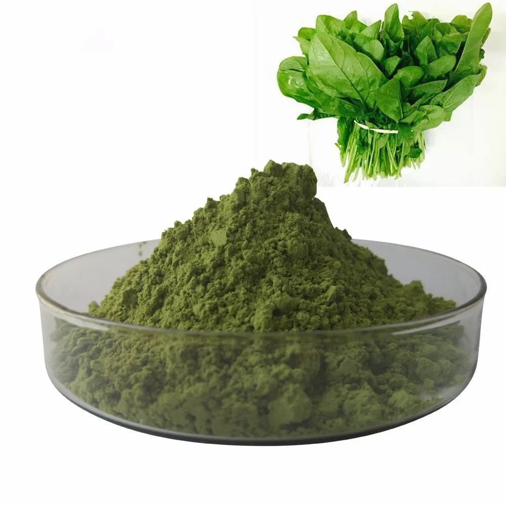 Dried  organic Spinach powder dehydrated spinach powder