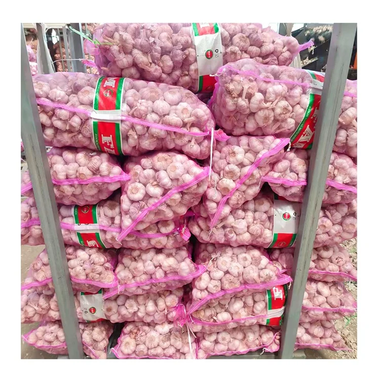Bawang putih high quality fresh normal white garlic for Indonesia 20kg mesh bag garlic bawang putih