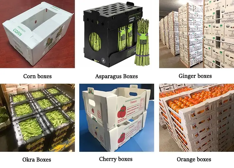 Fruit-and-vegetable-box.jpg
