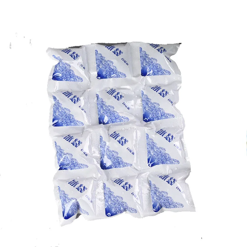 Reusable PE Ice Packs for Shipping Food 12 Cells Cool Gel Ice Pack