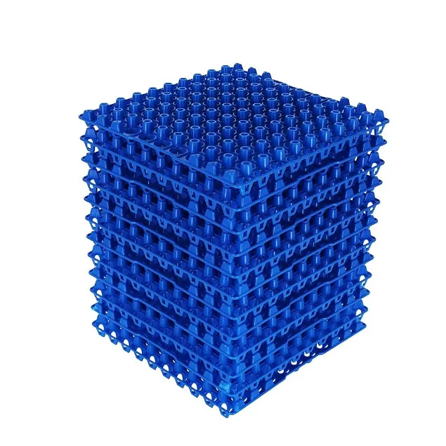 Plastic Quail Pigeon Large Egg Tray Egg Crates 90 Egg Flats for Home Chicken Farmers