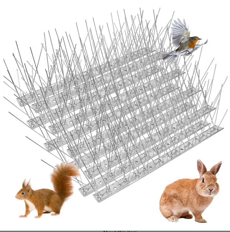 Bird control barrier strips wholesale anti-bird thorn stainless steel bird spikes anti pigeons for solar panels wall fence
