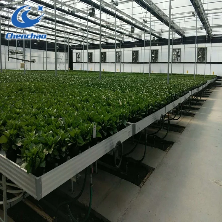 Ebb And Flow Rolling Benches EBB And Flow Growing System Rolling Benches With Trays