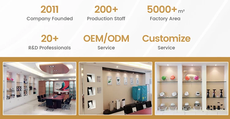 Portable Food Warmer Mini Car Heated Electric Lunch Box with Stainless Steel Food Box