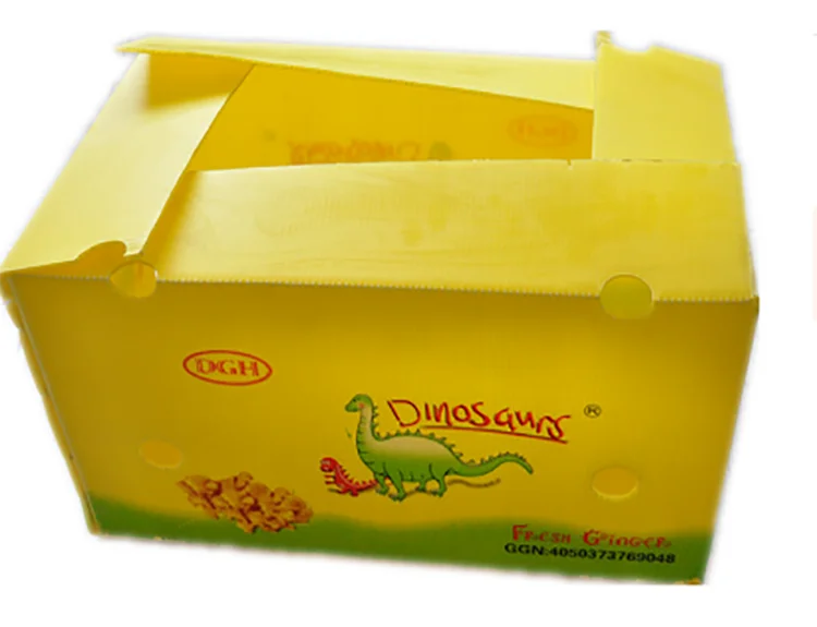 Ginger Box Ginger Plastic Box Fresh Ginger Plastic Packaging Box