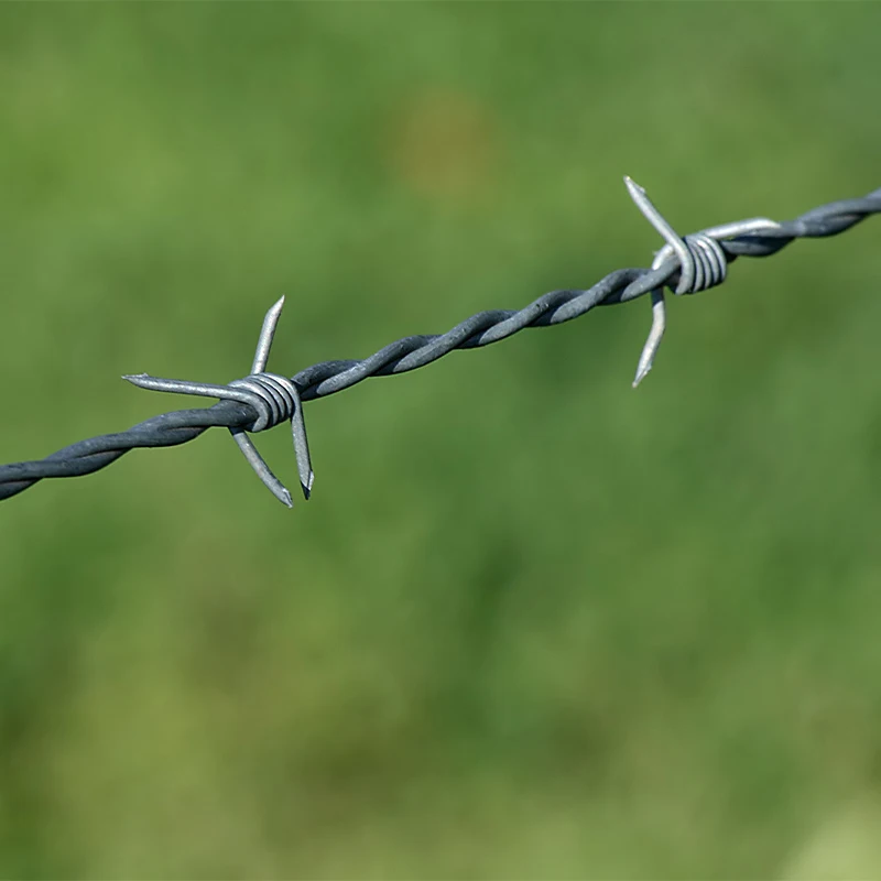 Professional supplier barbed wire roll price fence, barbed wire price per roll, barbed wre