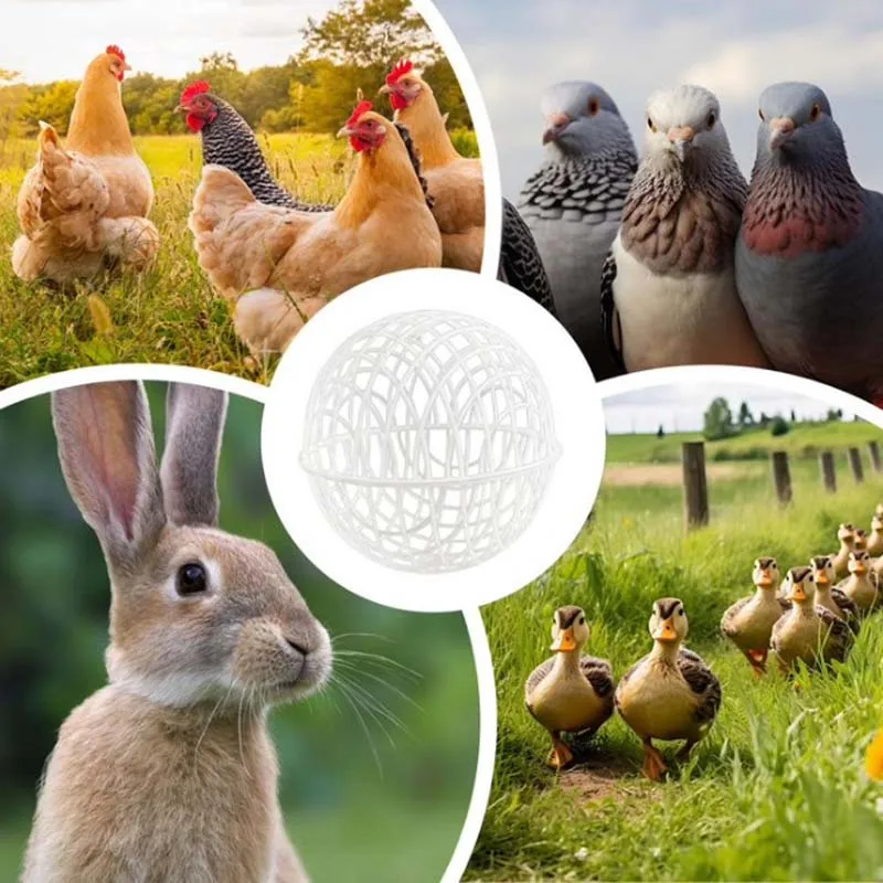 Safety Ball Cage for Chickens Movable Chicken Orb Hamster Pet Ball Cage Walking Net Pigeon Chick Coop for Farms Courtyard