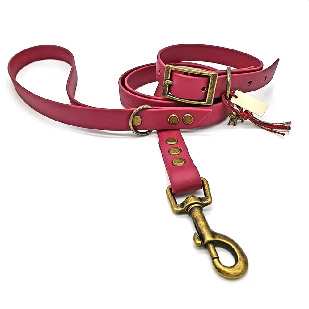 Pet Supplies Soft PVC TPU Rubber Custom Waterproof PVC Dog Collar And Leash Set For Walking Training