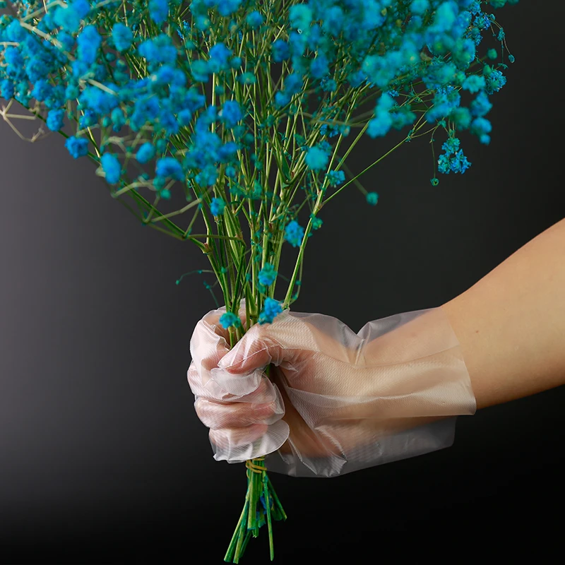 polyethylene plastic tpe glove,food handling hdpe ldpe polyethylene glove,household disposable kitchen cpe glove for hair dye