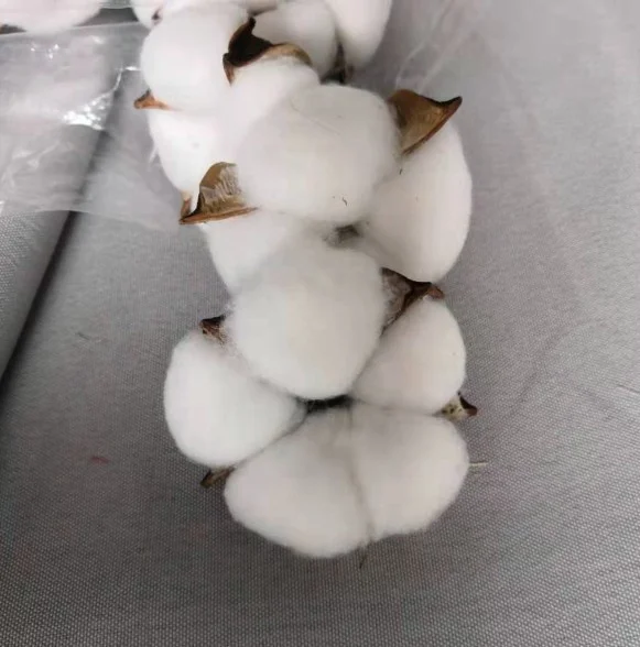 FCR1013 Factory supply decorative dried artificial cotton stems garland for sale