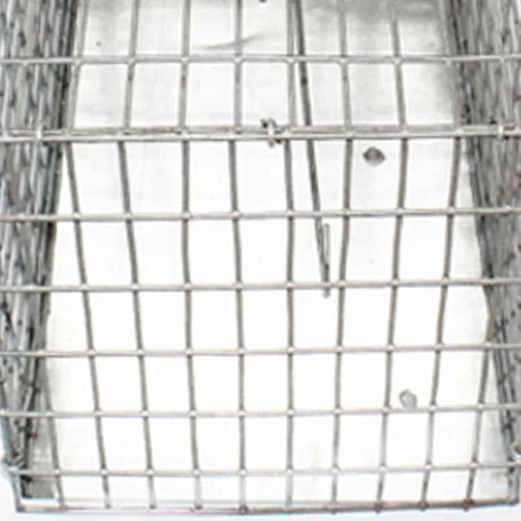 Humane Smart Mouse Trap Live Catch And Release Rodents, Safe Around Children & Pets