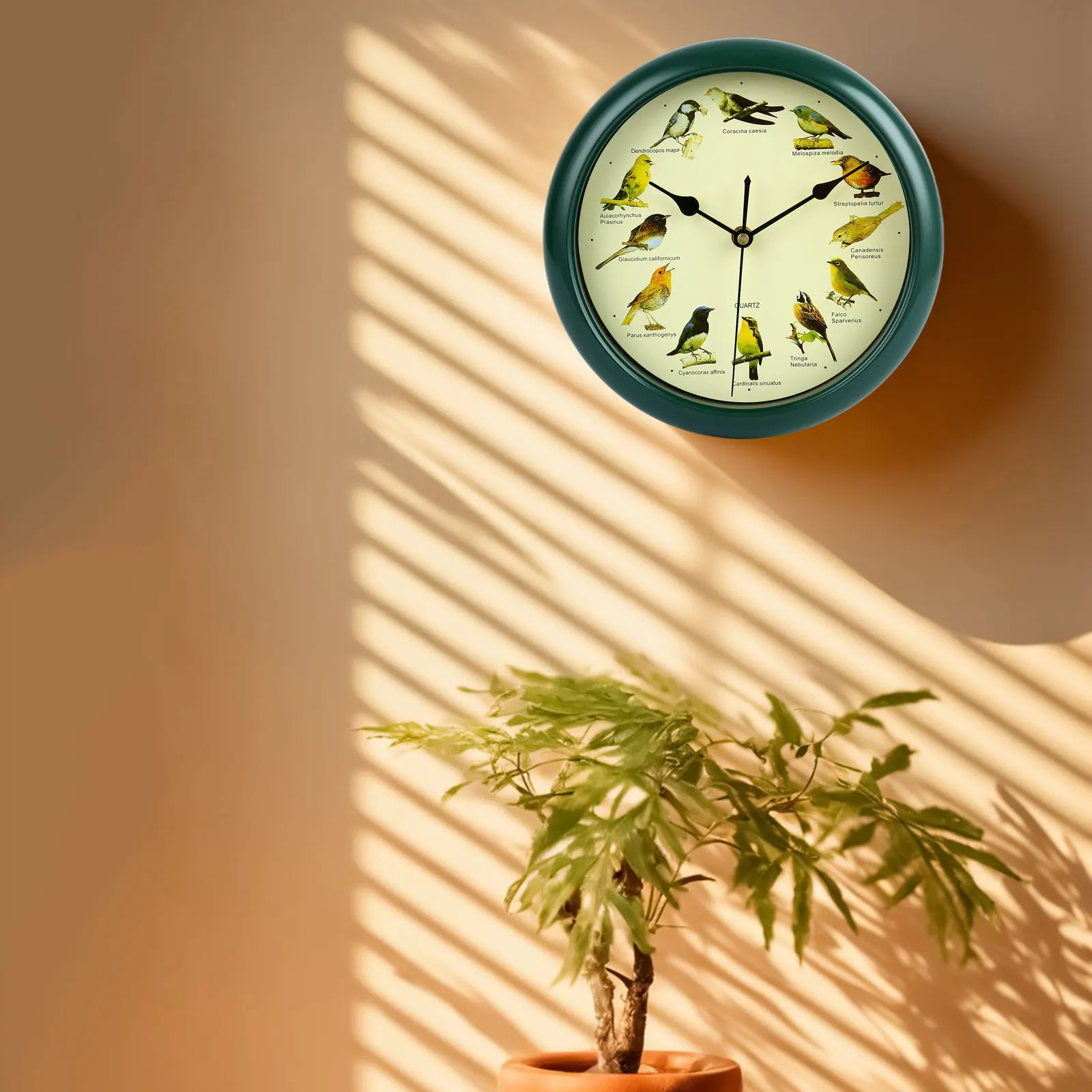 25cm Musical Birds Wall Hanging Sound Clock Battery Operated Household Interior Decorative Melody Clock for Home Kitchen