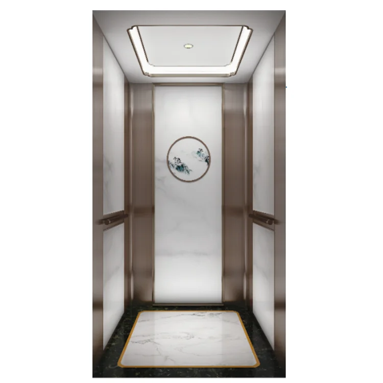Home Elevator Lift Hydraulic Residential Lift Small Elevators for Homes Villa