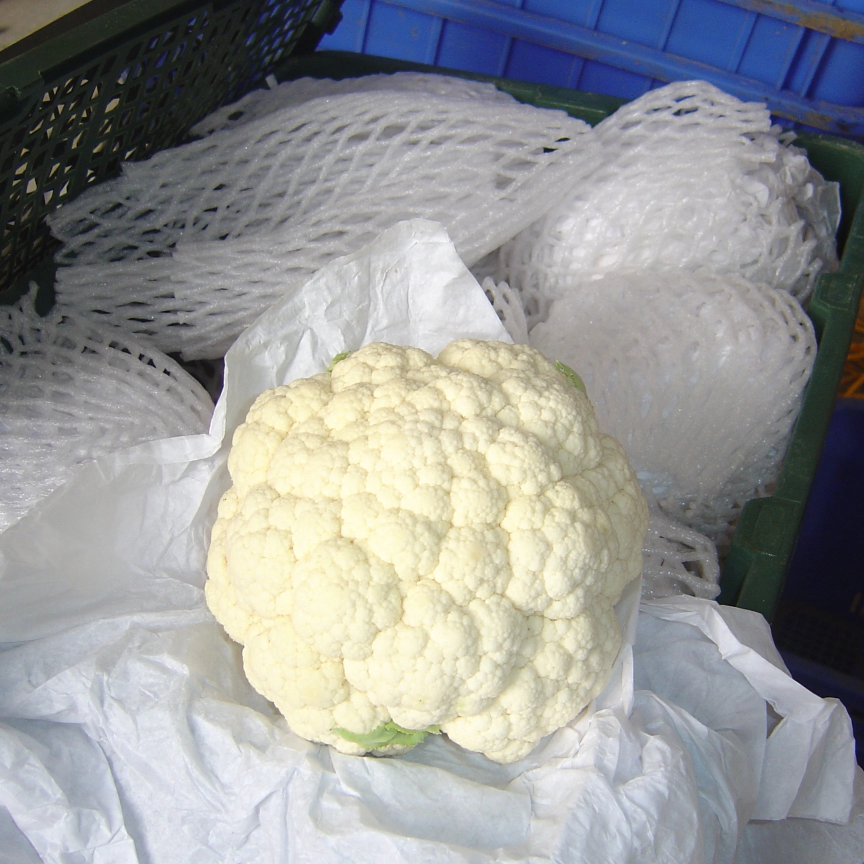 
chinese white cauliflower 