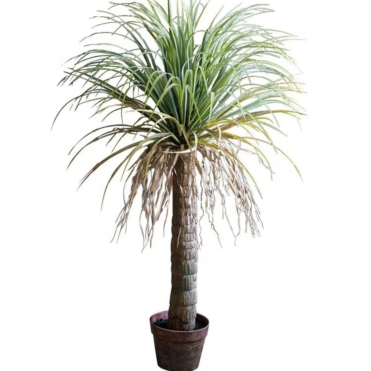 Large-scale Simulation Green Plant Bonsai Landing Dragon Blood Tree Living Room  Indoor High-end Landscaping