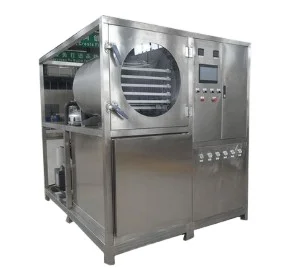 Dry Area  1 Square Meter Small Size Food Freeze Dryer For Industry Use