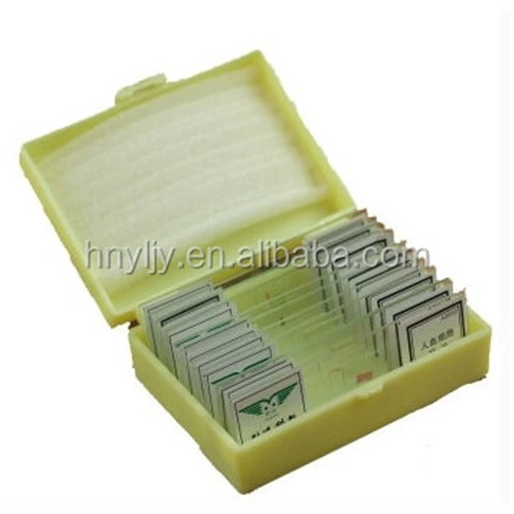 Factory Educational equipment Medical science Provide science lab researching prepared slides for kids microscope