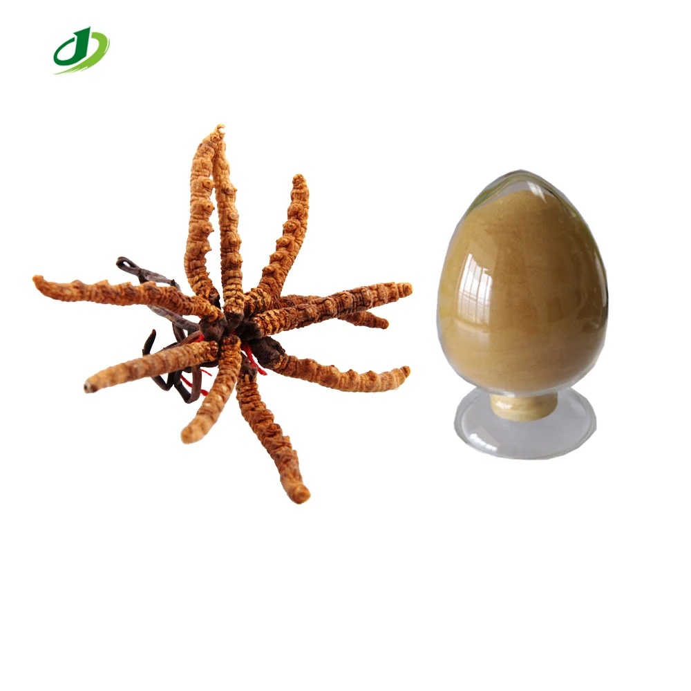 Экстракт Cordyceps Sinensis порошок/аюрведический экстракт punarnava порошок полисахариды 30%