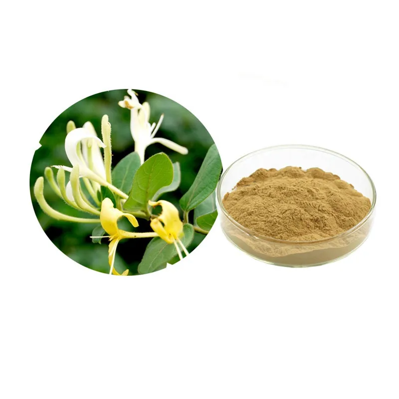 Manufacturers Wholesale Health Food Grade Honeysuckle Extract Powder