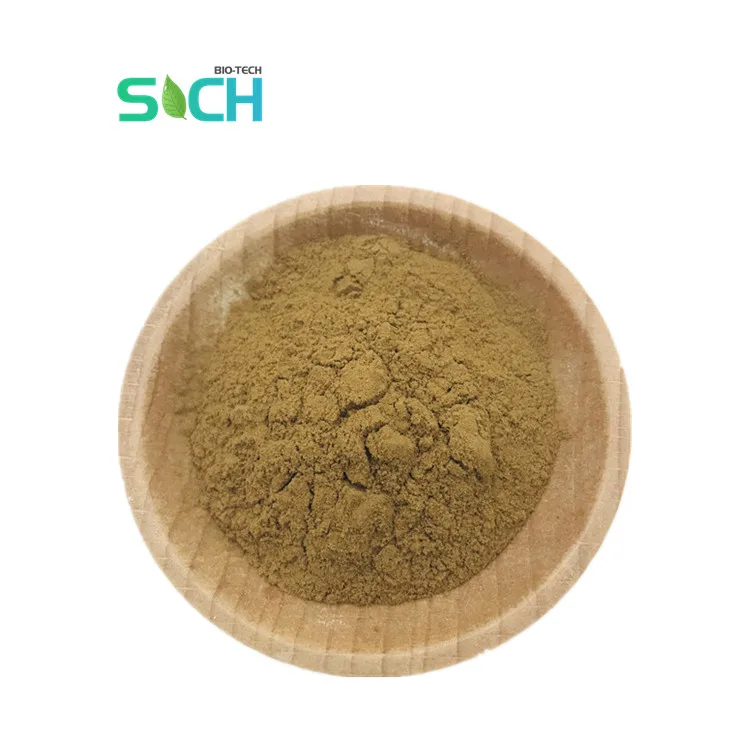 Healthcare Supplement 25% 75% Gymnemic Acid Gymnema Sylvestre Leaf Extract Capsules Gymnema Sylvestre Extract