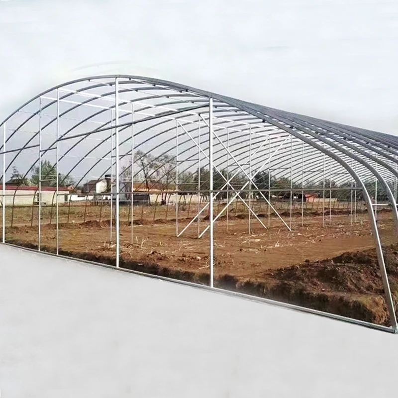 Plastic Film Covered Tunnel Greenhouse with Hot-dip galvanized Pipes for fastening Tomatoes and Melons Grow