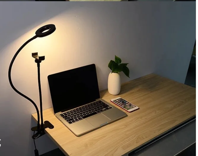 Universal Adjustable Desktop Mobile Phone Holder Flexible Selfie Ring Light Long Arm Cellphone Clip phone Holder factory