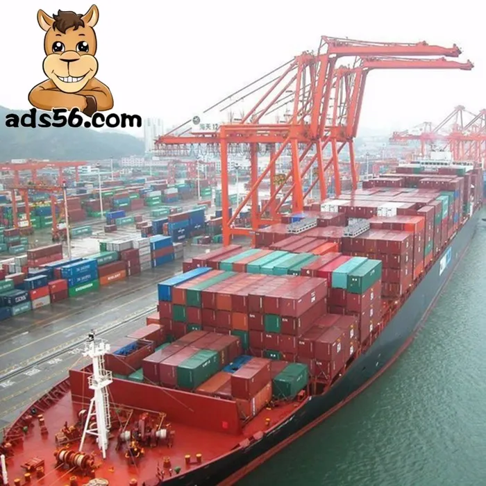 Activated carbon from China DDP Sea  shipping to UAE/Europe/USA door-to-door service