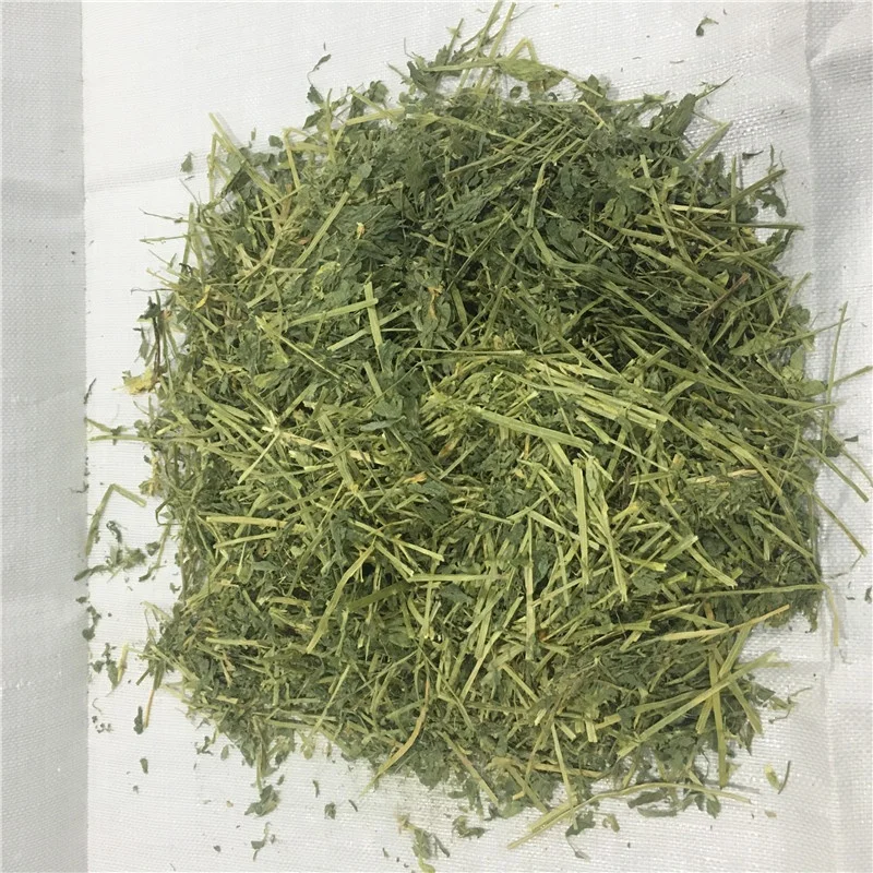American hay alfalfa for Animal Feed Cattle Horse Chicken Pets