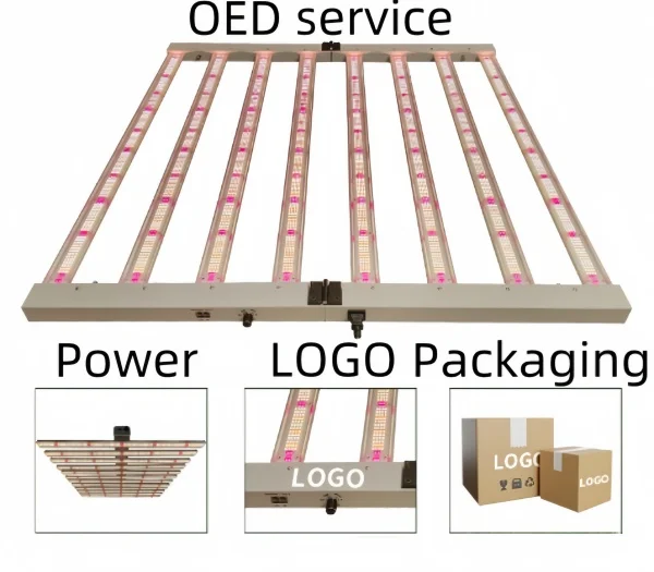 Aluminum alloy plant growth light Imitate Sunlight Promote Plant Growth Full Spectrum Grow Light 320W LM301H  LED Grow Light