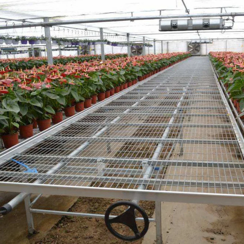 Large Commercial Hydroponic Farm System Ebb and Flow Rolling Table Top Benches Plastic Material for Agriculture Use