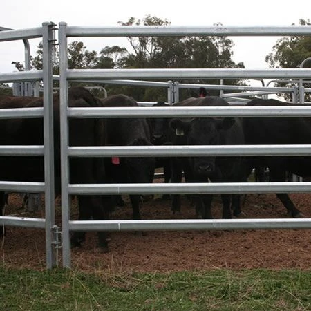 Best Selling 12FT Round Pen Horse Corral Panels Livestock Cattle Panels to USA