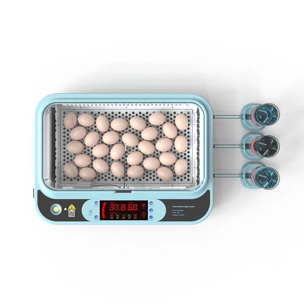 Good Quality Full Automatic Mini 12 Eggs Incubator for Chicken , Quail , Duck Eggs