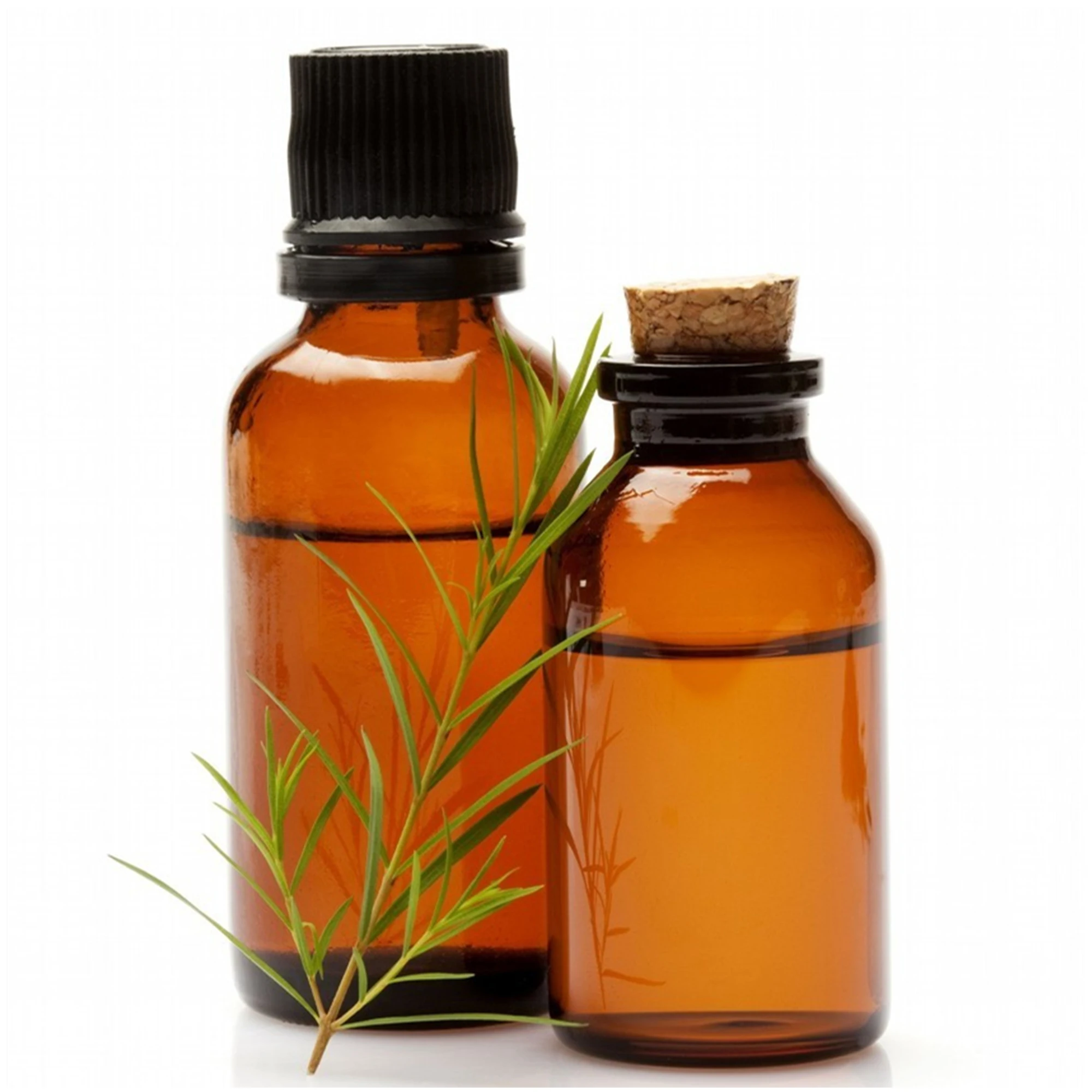 OEM Factory Supply 100% Pure and Organic Fractionated Coconut Oil for Hair, Skin Massage and Aromatherapy Carrier Oils 10ml