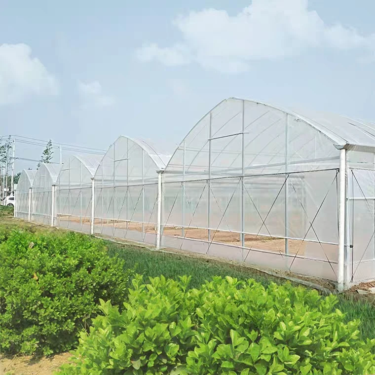 
Multi-cross greenhouse supplier/low price factory direct supply 