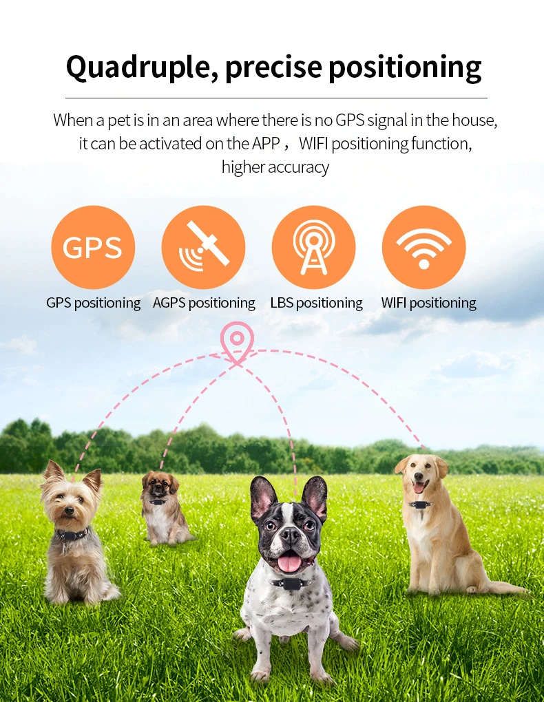 Pet anti loss collar GPS real-time positioning animal activity footprint tracking cat and dog anti loss GPS pet collar