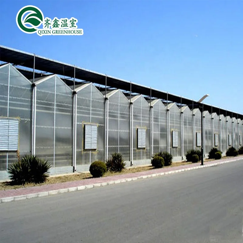 Best selling 100% new material polythene tunnel greenhouse ,UV protection plastic greenhouse  for growing vegetables