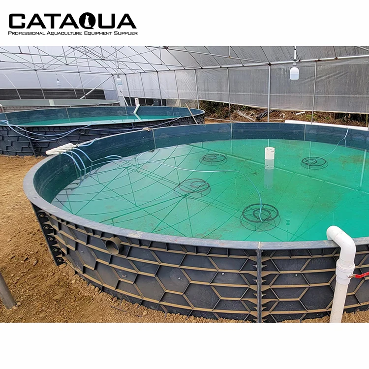 Сельскохозяйственное оборудование для аквакультуры CATAQUA Tilapia, аквариум для рыбного пруда