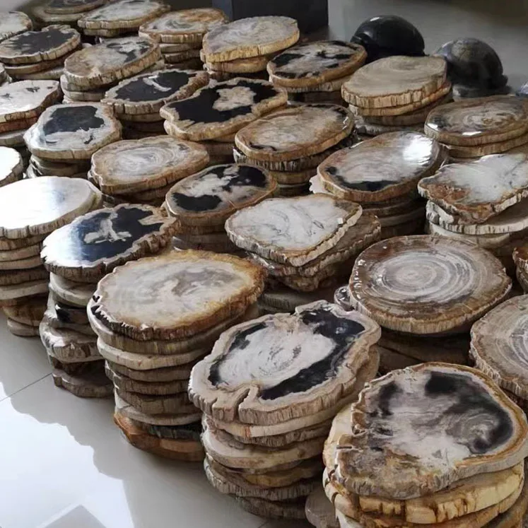 Wholesale natural polished wood fossil slab rough stone slice specimen ,petrified wood piece