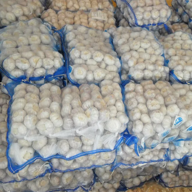 4.5cm 5.0cm 5.5cm 6.0cm Chinese Fresh Garlic Dried China Pure White Normal White Vegetables Garlic Small Packing For Export