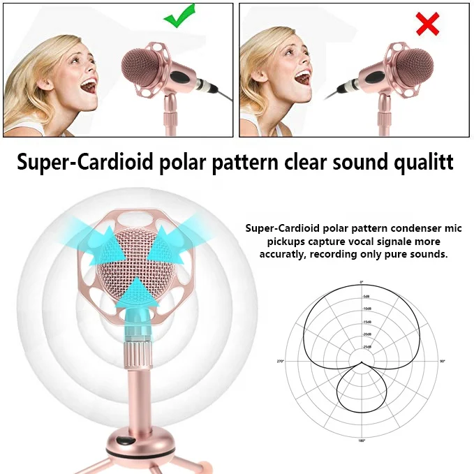 Y20B Pink Microphone Studio Condenser Condenser Mic