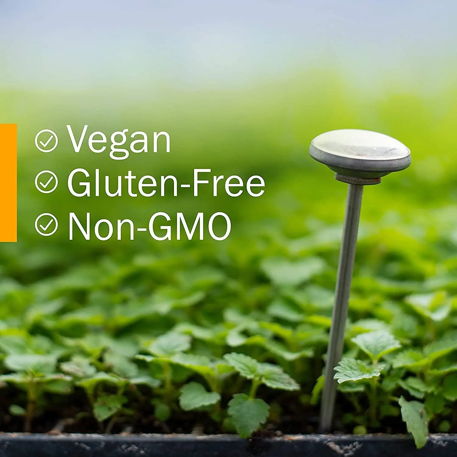 Private Label Organic Natural Passionflower Liquid Herbal Tincture Supplement Drops for Women and Men