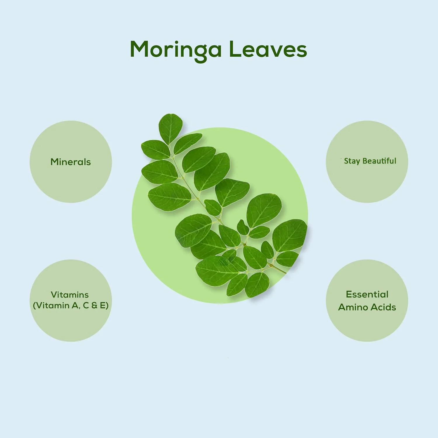 Wholesale Bulk Price Natural Organic Moringa Leaf Extract Super food Moringa Powder
