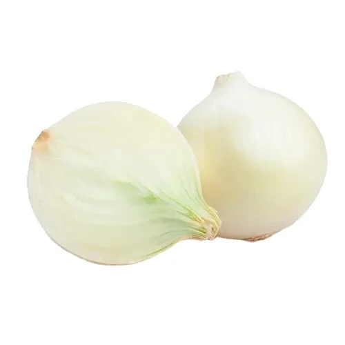 Fresh Onion Onions Fresh Packaging New Crop Mexico Harvester Wholesale Onion Cebolla Blanca High Quality