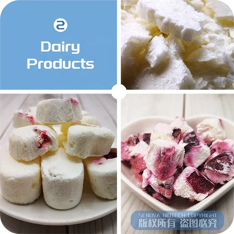 5 кг один ключ старт промышленная фруктовая овощная еда пилот Вакуумная сушилка