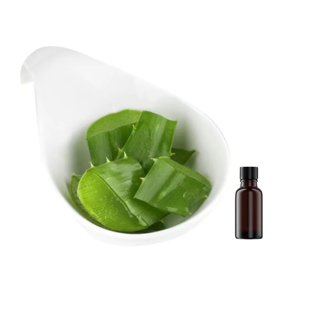 Fresh Aloe Vera Extract Used in Cosmetic Skin Care Products Processing Aloe P.E