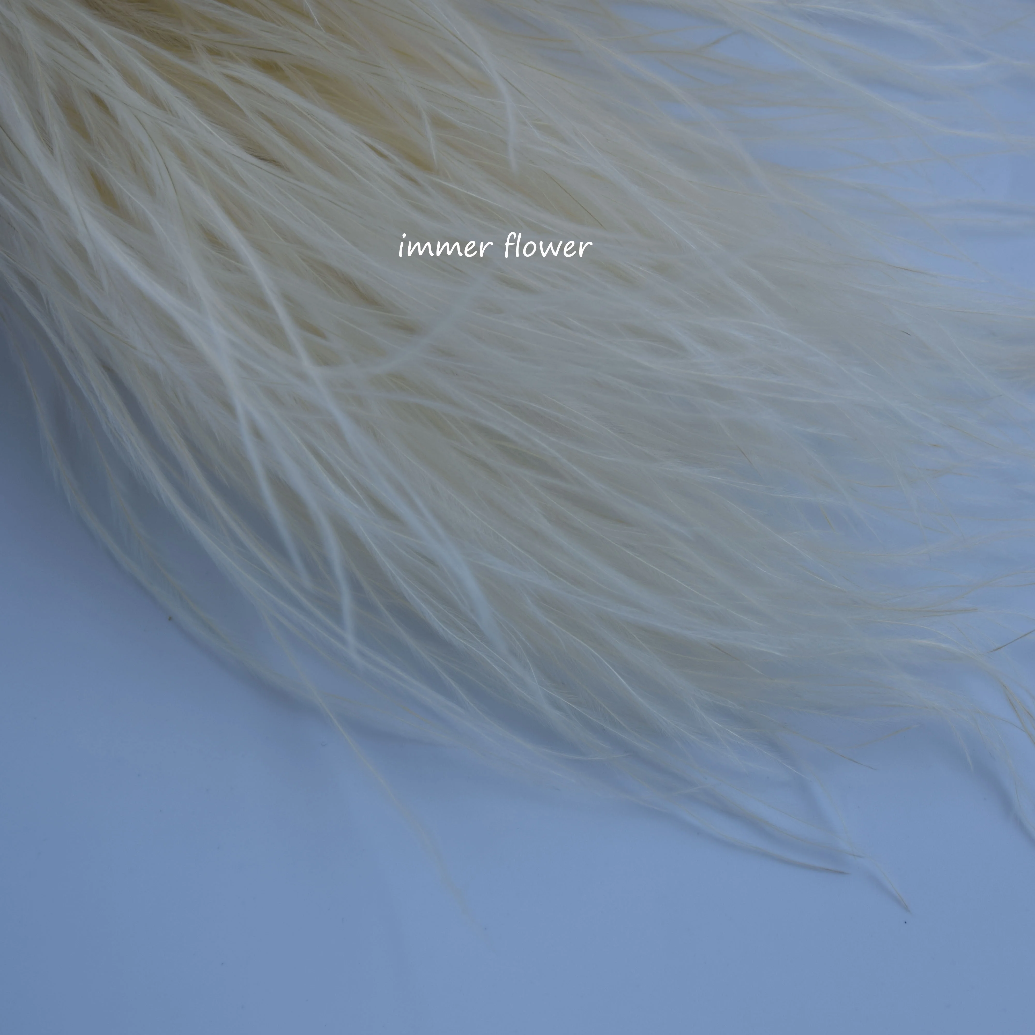 Beautiful Feather Grass Stifa Flower from China