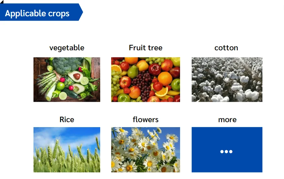 Plant EDTA Fe 10% Agricultural fertilizers used for calcium supplement organic fertilizer