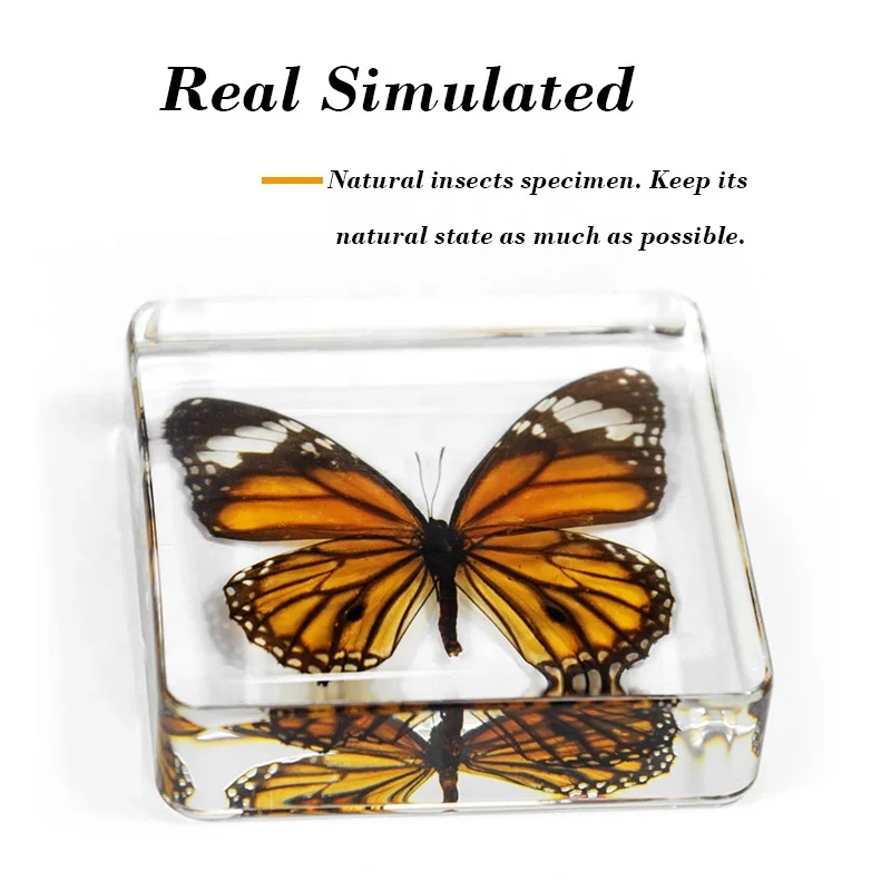 taxidermy butterfly resin cube real insects bug 75*75 mm factory customized clear epoxy acrylic blocks resin crafts ornaments
