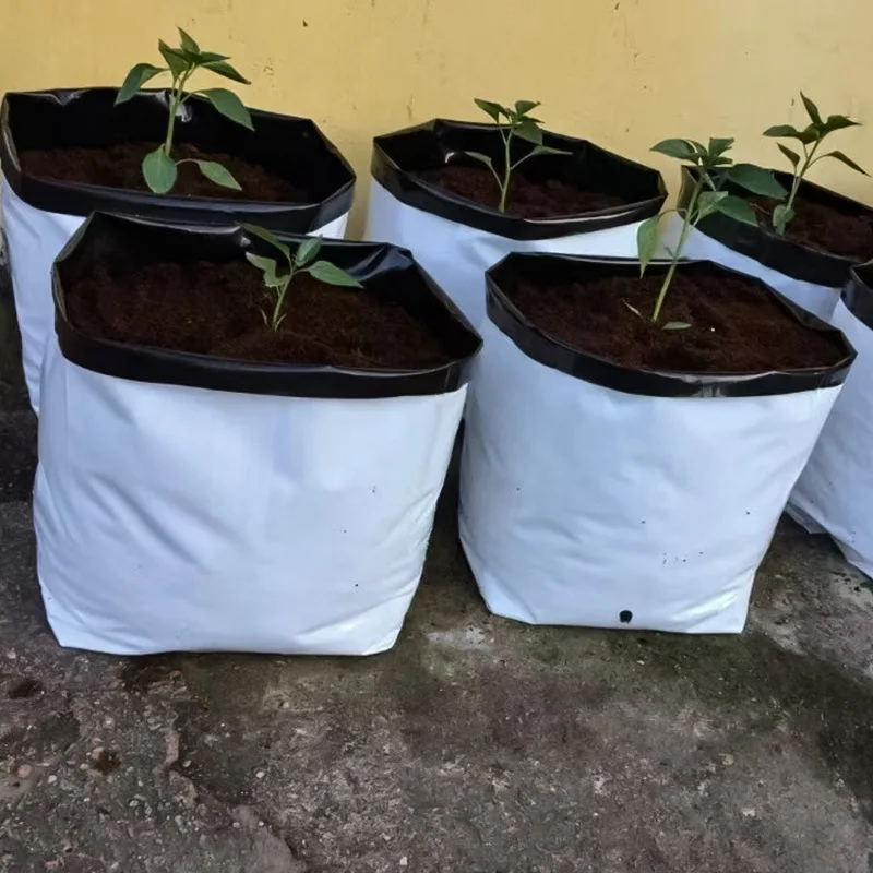 UV Stabilized PE bags  Plastic Folding Garden Vegetable White  Grow Bags 5  Gallon Poly Plant Bag  with Cheap Price